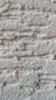 Изображение фактуры короед