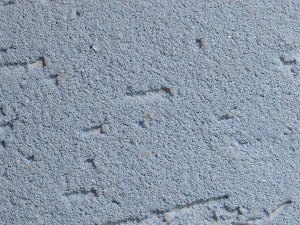 Изображение цветного Короеда из ведер, после нанесения.